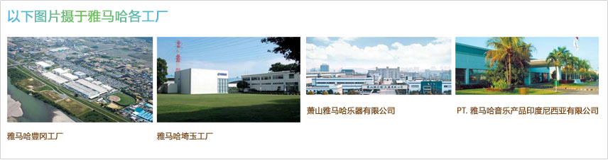 菠菜担保网·(中国区)官方网站