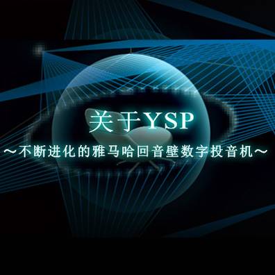一直进化的菠菜担保网回音壁数字投音机
