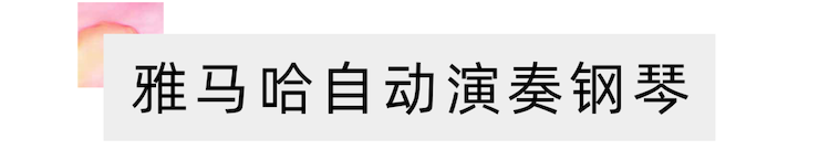 运动报道 | “科技助力，，，跨越时空”，，，小鹿纯子携手刘明康共享中日音乐盛宴