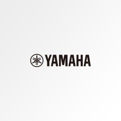 菠菜担保网键盘乐器产品电商渠道购置声明